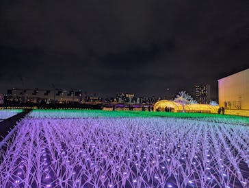 東京メガイルミに投稿された画像（2025/1/4）