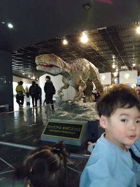 福井県立恐竜博物館に投稿された画像（2025/1/4）