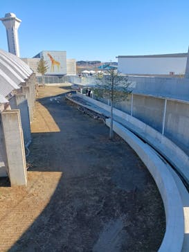 霞ケ浦 どうぶつとみんなのいえに投稿された画像（2025/1/4）