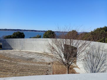 霞ケ浦 どうぶつとみんなのいえに投稿された画像（2025/1/4）