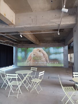 霞ケ浦 どうぶつとみんなのいえに投稿された画像（2025/1/4）