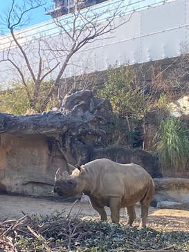 天王寺動物園に投稿された画像（2025/1/4）