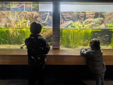 井の頭自然文化園に投稿された画像（2025/1/4）