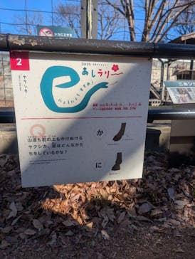 井の頭自然文化園に投稿された画像（2025/1/4）