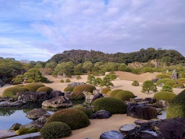 足立美術館に投稿された画像（2025/1/4）