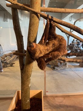 霞ケ浦 どうぶつとみんなのいえに投稿された画像（2025/1/4）