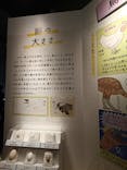 特別展「鳥 ～ゲノム解析が解き明かす新しい鳥類の系統～」国立科学博物館に投稿された画像（2025/1/4）