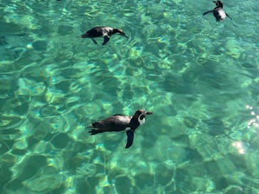 葛西臨海水族園に投稿された画像（2025/1/4）