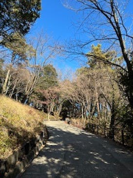 ムーミンバレーパークに投稿された画像（2025/1/4）