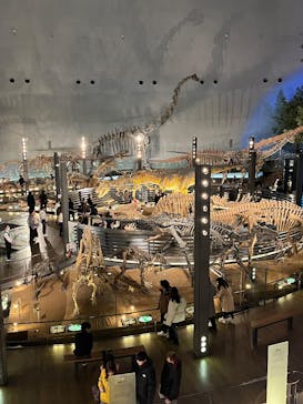 福井県立恐竜博物館に投稿された画像（2025/1/4）