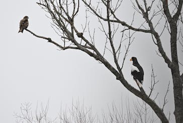 East powerに投稿された画像（2025/1/4）