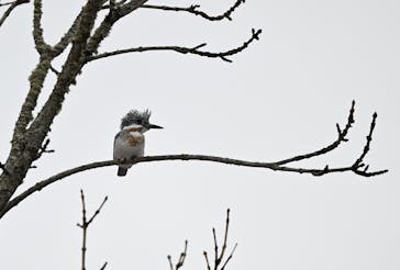 East powerに投稿された画像（2025/1/4）