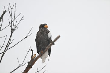 East powerに投稿された画像（2025/1/4）