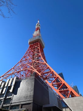 東京タワーに投稿された画像（2025/1/4）