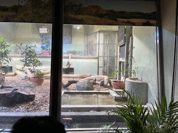 名古屋市東山動植物園に投稿された画像（2025/1/4）