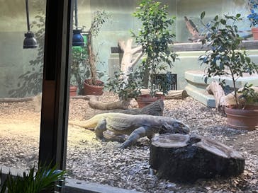 名古屋市東山動植物園に投稿された画像（2025/1/4）