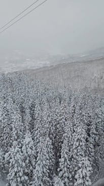 蔵王ロープウェイに投稿された画像（2025/1/4）