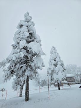 蔵王ロープウェイに投稿された画像（2025/1/4）