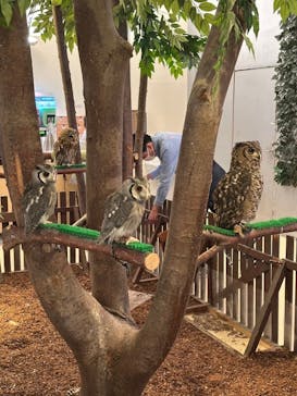 Moff animal cafe イオンモール幕張新都心店に投稿された画像（2025/1/4）