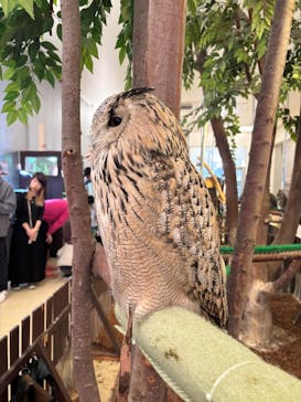 Moff animal cafe イオンモール幕張新都心店に投稿された画像（2025/1/4）