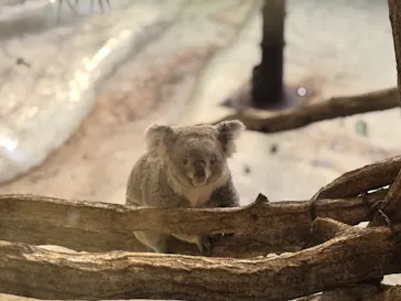 多摩動物公園に投稿された画像（2025/1/4）