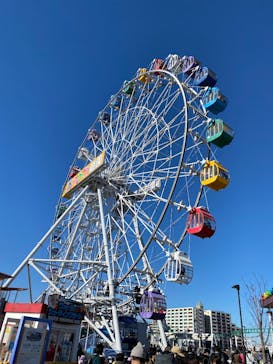 あらかわ遊園に投稿された画像（2025/1/4）