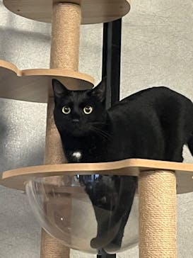 おさるランド＆アニタウン　日光さる軍団劇場に投稿された画像（2025/1/4）