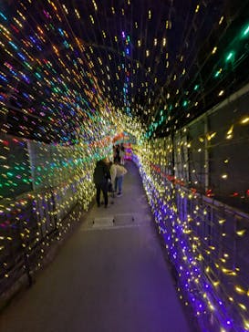 伊豆高原グランイルミに投稿された画像（2025/1/4）