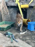 天王寺動物園に投稿された画像（2025/1/4）
