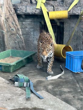 天王寺動物園に投稿された画像（2025/1/4）