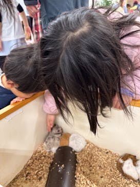 アニタッチ 東京ドームシティに投稿された画像（2025/1/4）