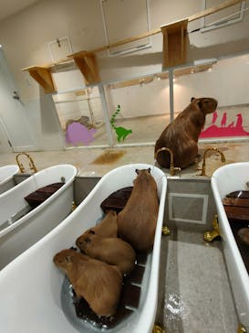 アニタッチ 東京ドームシティに投稿された画像（2025/1/4）