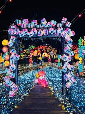 伊豆高原グランイルミに投稿された画像（2025/1/4）