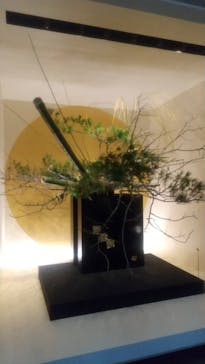 東京国立博物館に投稿された画像（2025/1/4）