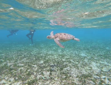 nico 宮古島に投稿された画像（2025/1/4）