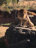 天王寺動物園に投稿された画像（2025/1/4）