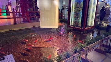 AQUARIUM × ART　atoa×神戸ポートタワーに投稿された画像（2025/1/4）