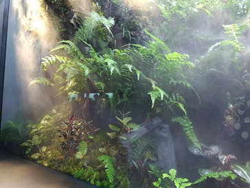 AOAO SAPPOROに投稿された画像（2025/1/4）