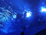 サンシャイン水族館に投稿された画像（2025/1/4）