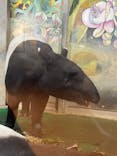 多摩動物公園に投稿された画像（2025/1/4）