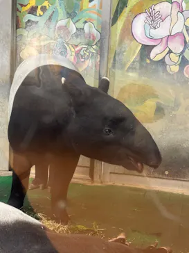 多摩動物公園に投稿された画像（2025/1/4）