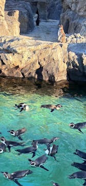 葛西臨海水族園に投稿された画像（2025/1/4）