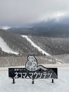 星野リゾート　ネコマ マウンテンに投稿された画像（2025/1/4）