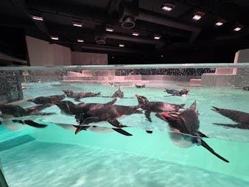 AOAO SAPPOROに投稿された画像（2025/1/4）