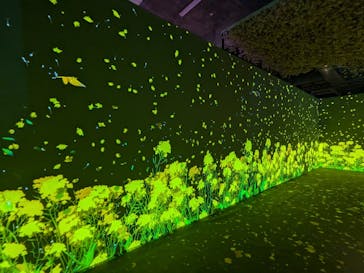 動き出す浮世絵展 TOKYOに投稿された画像（2025/1/4）