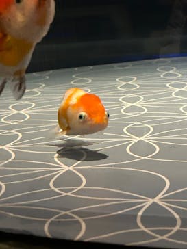 すみだ水族館に投稿された画像（2025/1/4）