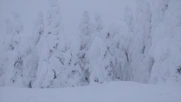 蔵王ロープウェイに投稿された画像（2025/1/4）