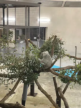 多摩動物公園に投稿された画像（2025/1/4）