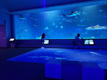 島根県立 しまね海洋館に投稿された画像（2025/1/4）