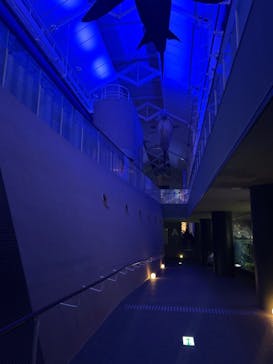 アクアワールド茨城県大洗水族館に投稿された画像（2025/1/4）